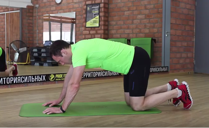 Exercise All Fours Quad Stretch