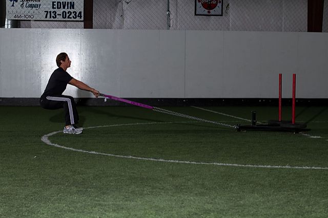 Photo of Sled Row exercise