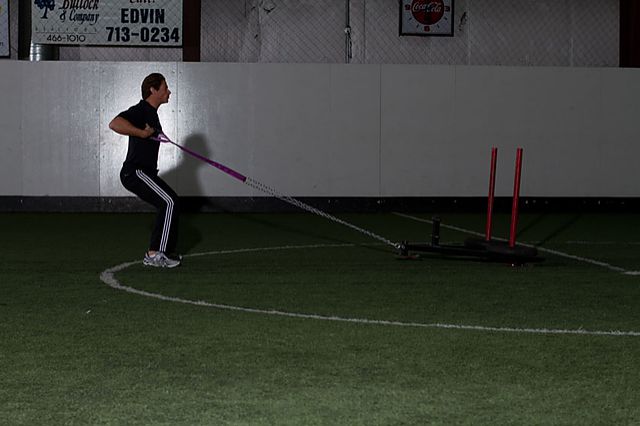 Photo of Sled Row exercise