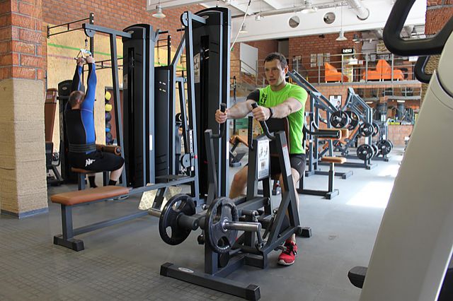 Photo of Leverage Iso Row exercise