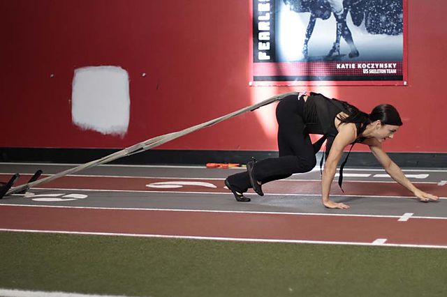 Photo of Bear Crawl Sled Drags exercise