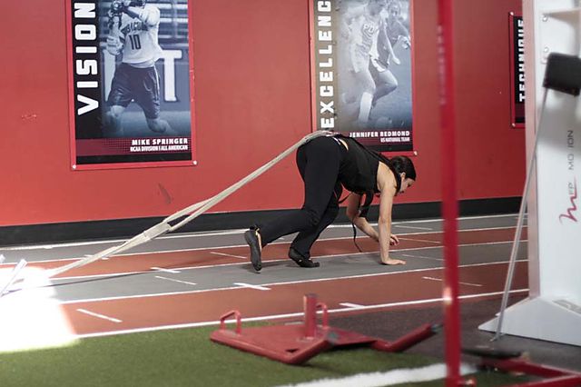 Photo of Bear Crawl Sled Drags exercise