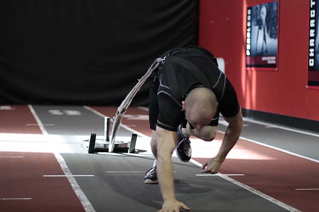 Photo of Bear Crawl Sled Drags exercise