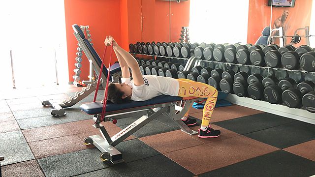 Photo of Band Skull Crusher exercise