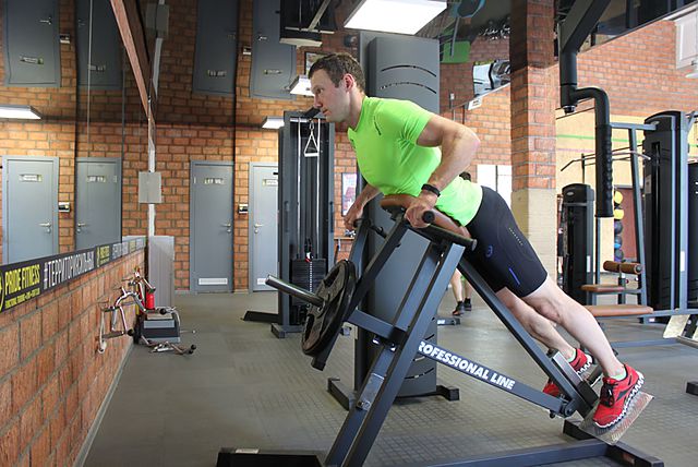 Photo of Lying T-Bar Row exercise