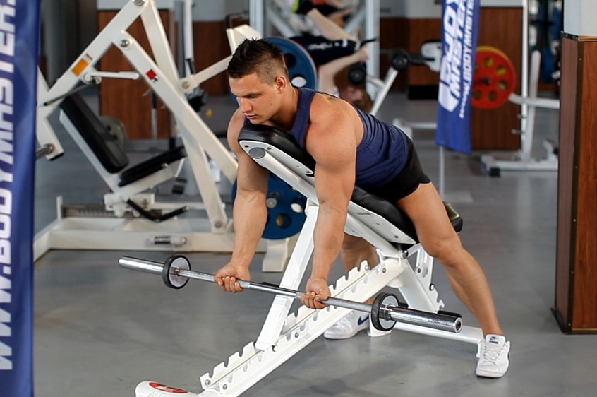 Exercise Barbell Curls Lying Against An Incline