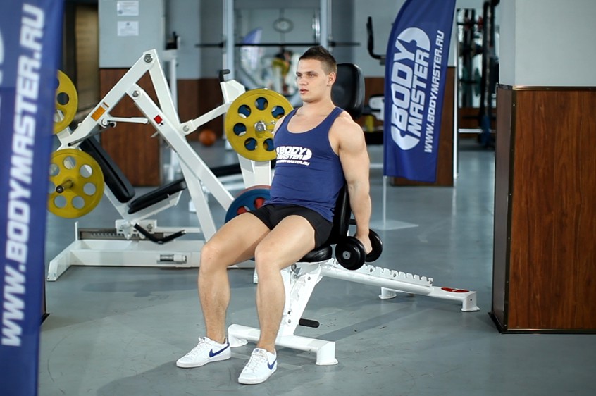 Exercise Seated Dumbbell Curl