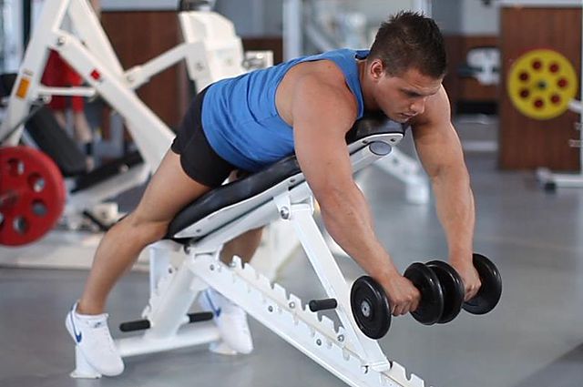 Photo of Reverse Flyes With External Rotation  exercise