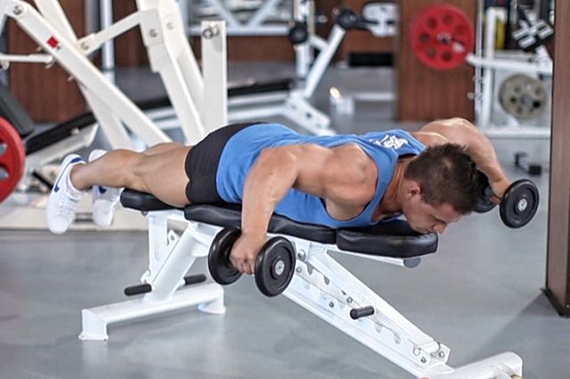 Photo of Lying Rear Delt Raise  exercise
