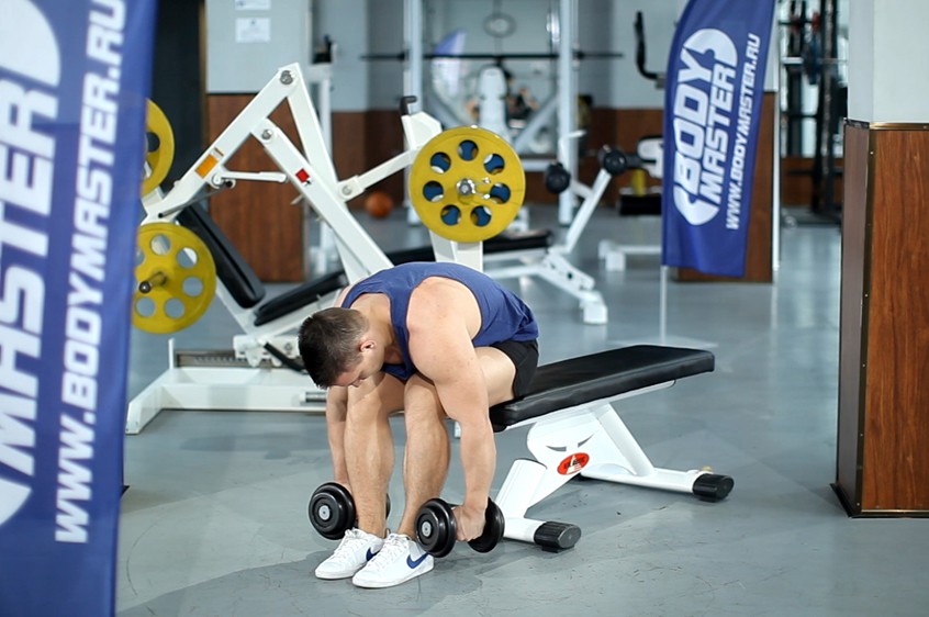 Exercise Seated Bent-Over Rear Delt Raise