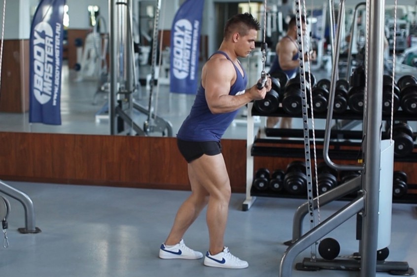 Exercise Reverse Grip Triceps Pushdown