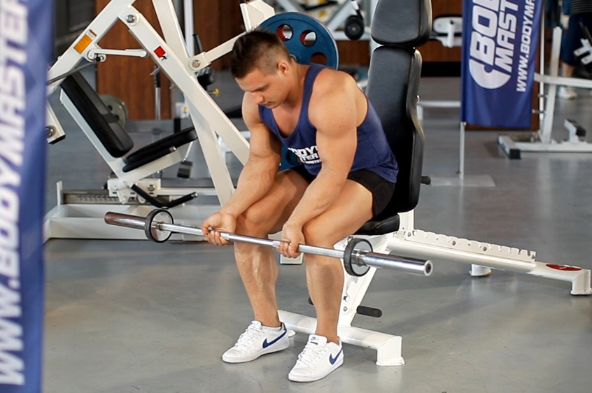 Exercise Seated Palm-Up Barbell Wrist Curl