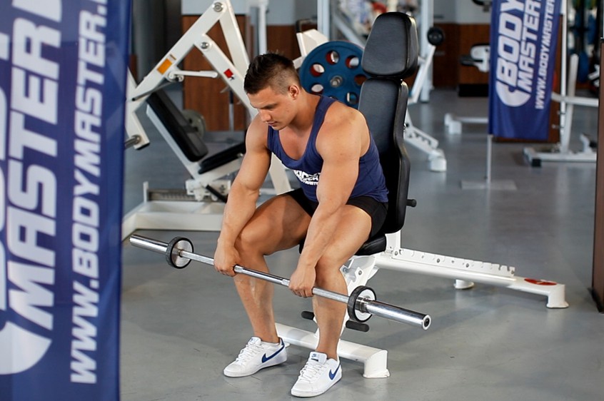 Exercise Seated Palms-Down Barbell Wrist Curl