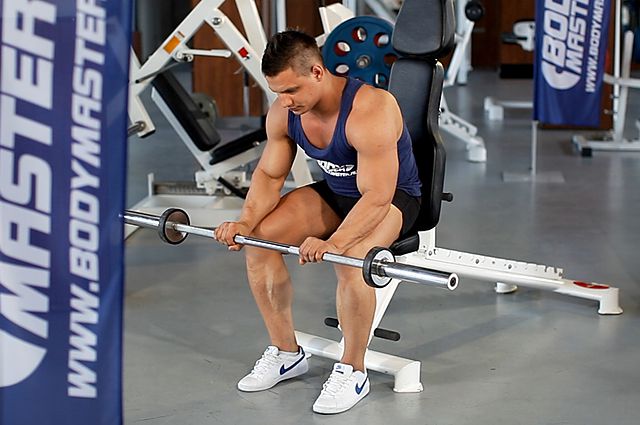 Photo of Seated Palms-Down Barbell Wrist Curl exercise