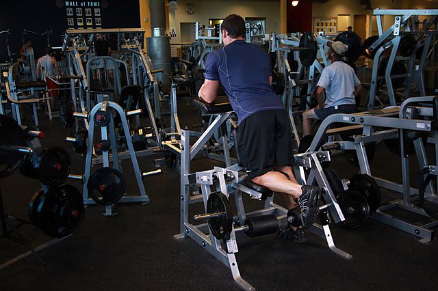 Photo of Standing Leg Curl exercise