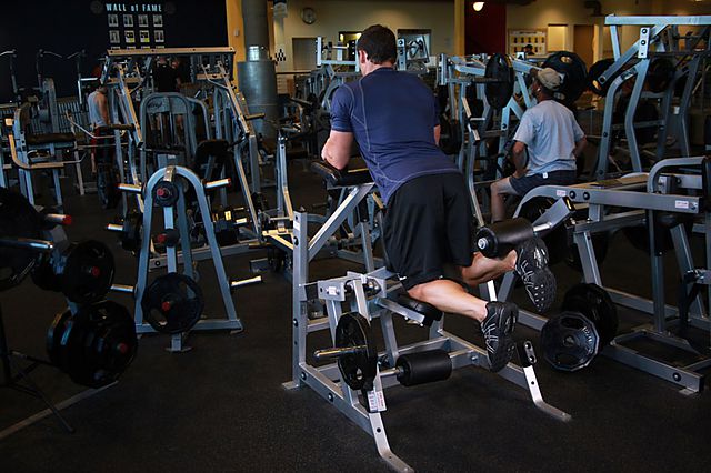 Photo of Standing Leg Curl exercise