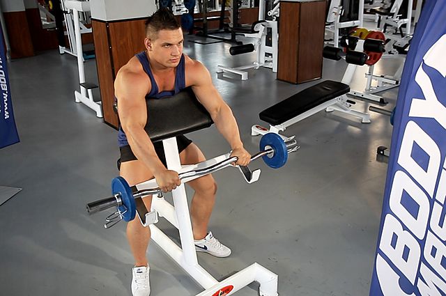 Photo of Reverse Barbell Preacher Curls exercise