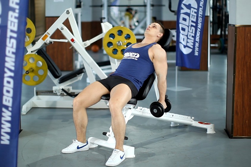 Exercise Flexor Incline Dumbbell Curls