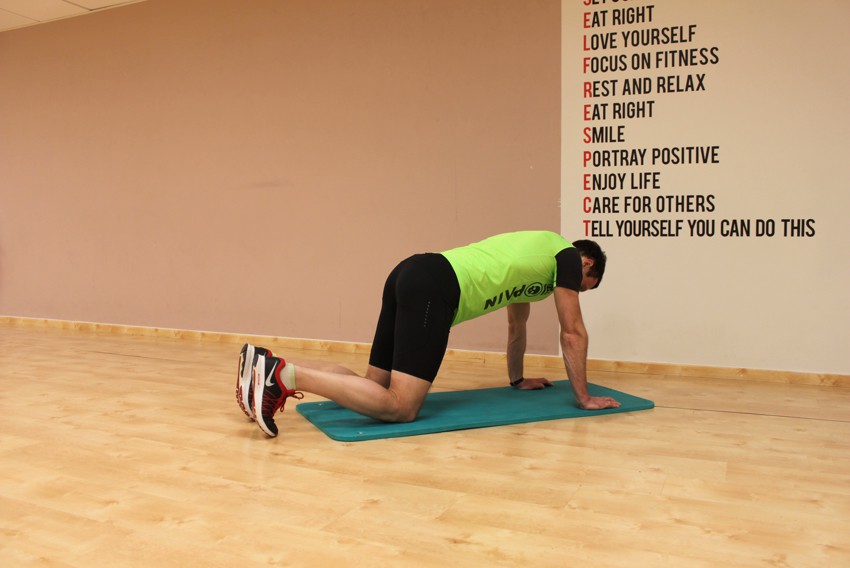 Exercise Cat Stretch