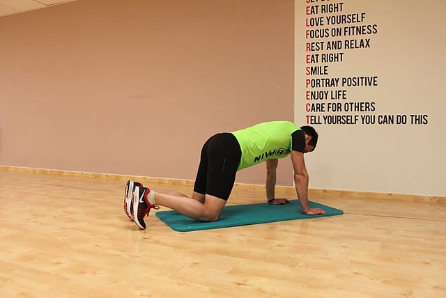 Photo of Cat Stretch  exercise
