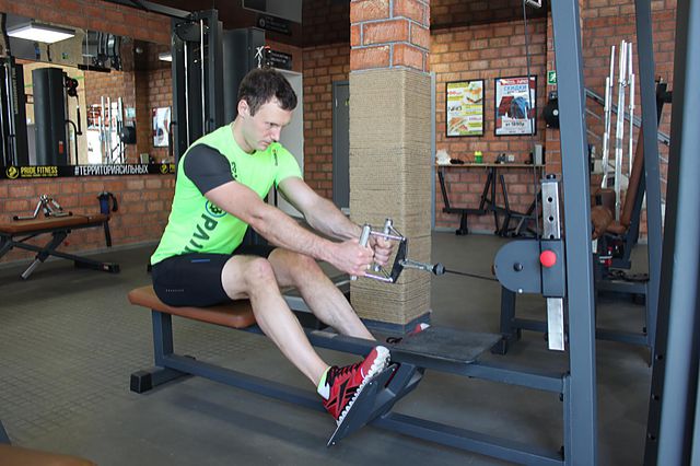 Photo of Elevated Cable Rows  exercise