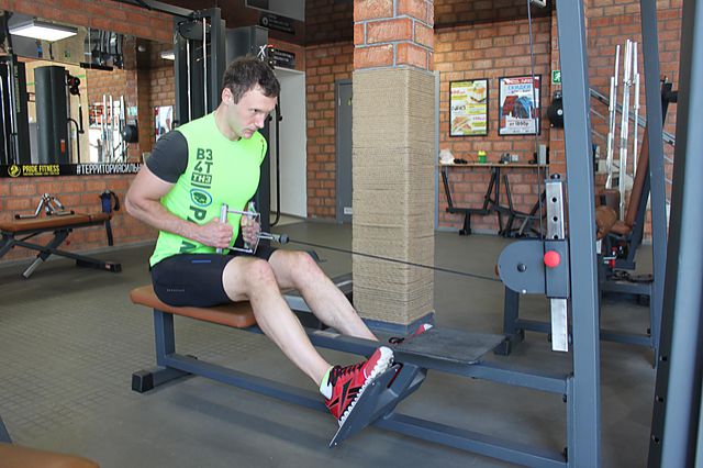 Photo of Elevated Cable Rows  exercise