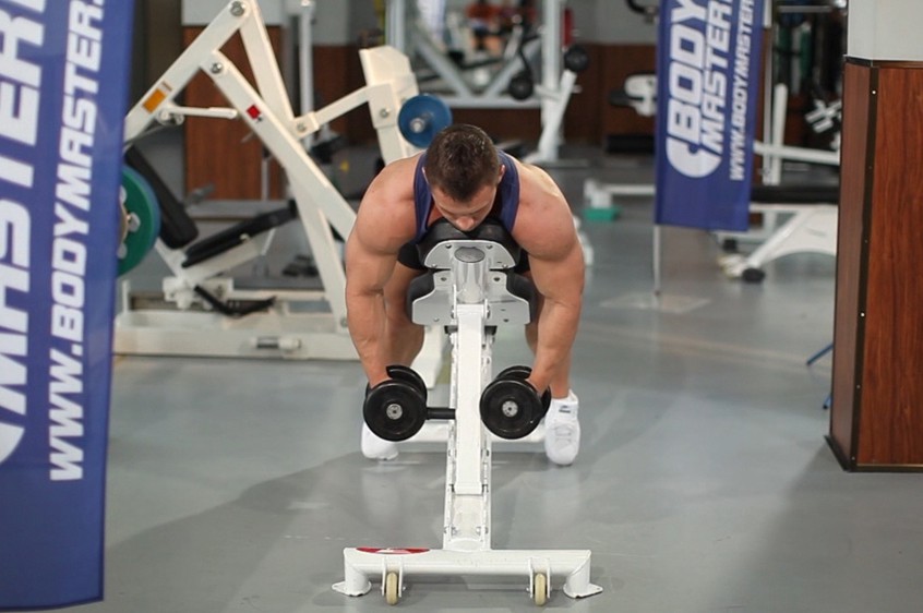 Exercise Dumbbell Lying Rear Lateral Raise