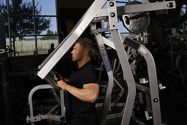 Photo of Leverage High Row exercise