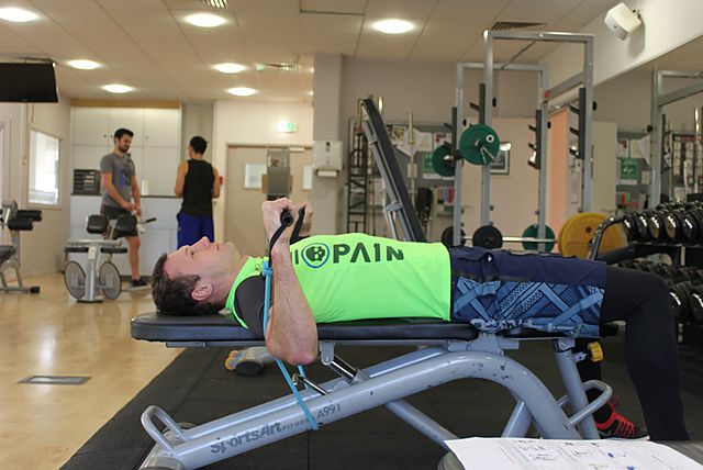 Photo of Bench Press - With Bands exercise