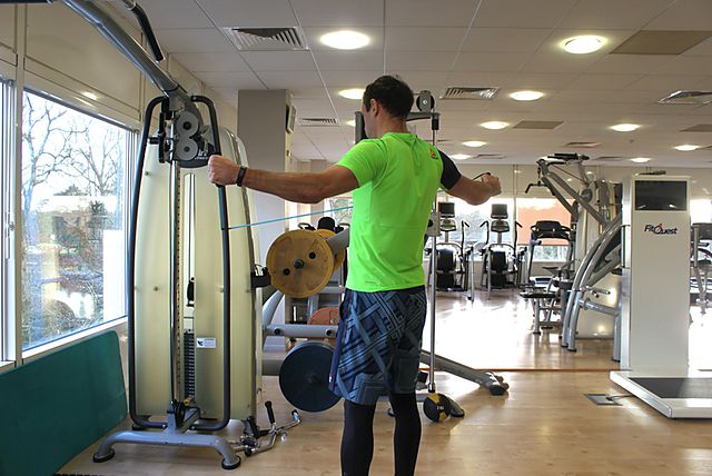 Photo of Back Flyes - With Bands  exercise