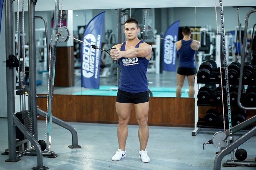 Exercise Pallof Press With Rotation