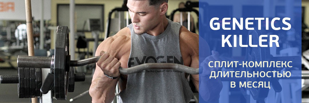 Mass Gain » For Ectomorphs: 2-day split