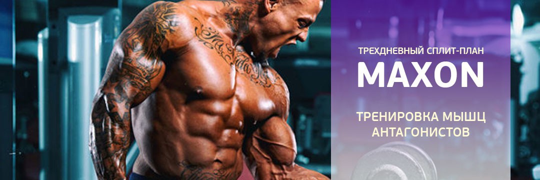 Mass Gain » Program for training to increase muscle volume