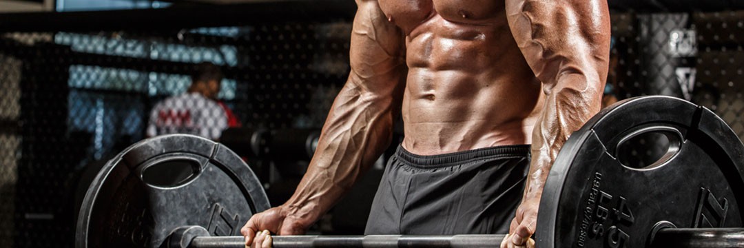 Mass Gain » Training program for increasing arm muscles