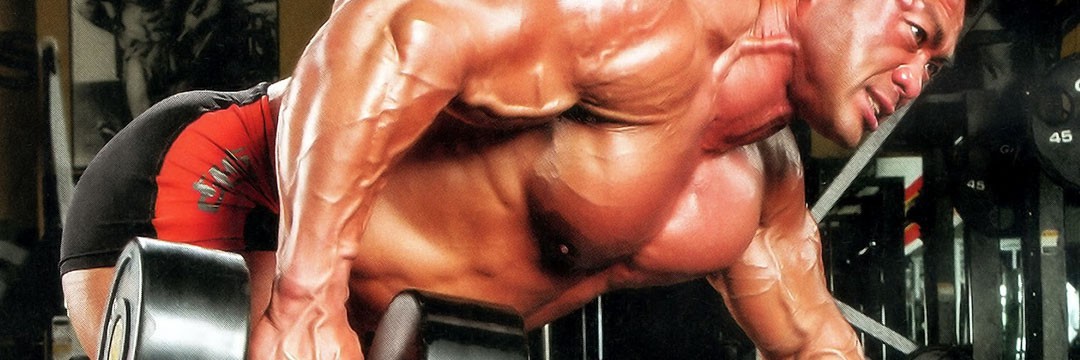 Mass Gain » 6 day muscle building split