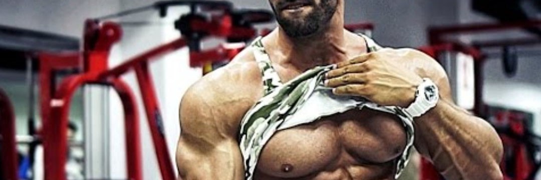 Mass Gain » MEZOMORF-FIT: mass gain for a typical “mesomorph”