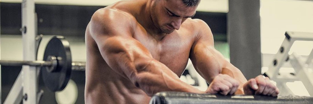 Mass Gain » BASIS: your bodybuilding master plan