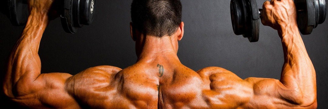 Mass Gain » KOMBIX: chest and back specialization program