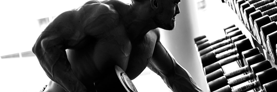 Mass Gain » Training program after 6 months of experience Mass Gain » Training program after 6 months of experience