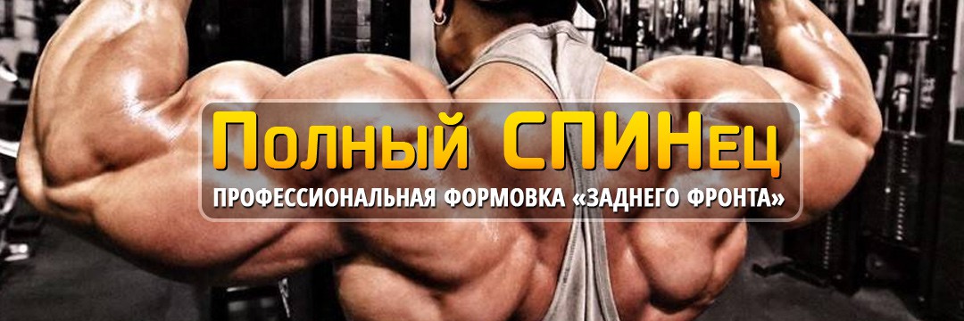 Mass Gain » Back Styling Mass Gain » Back Styling