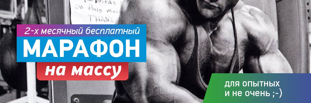Mass Gain » Maraphone for Mass Gain #1 Mass Gain » Maraphone for Mass Gain #1