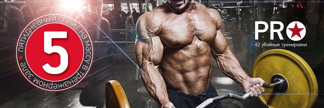 Mass Gain » 5 day PRO-split for Mass Gain