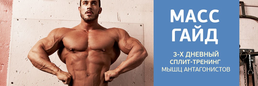 Mass Gain » Mass-guide - taking into account growth factors