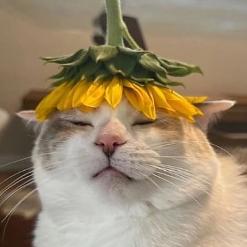 Никита