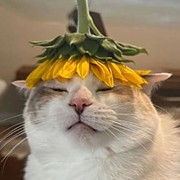 Никита