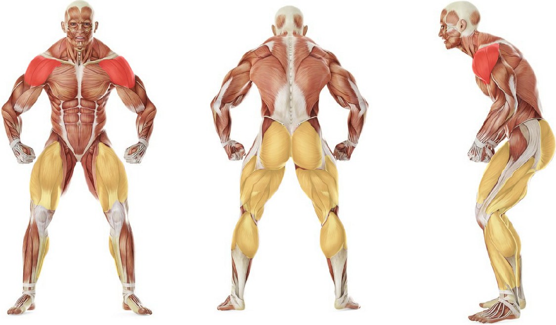 What muscles work in the exercise One-Arm Kettlebell Split Snatch