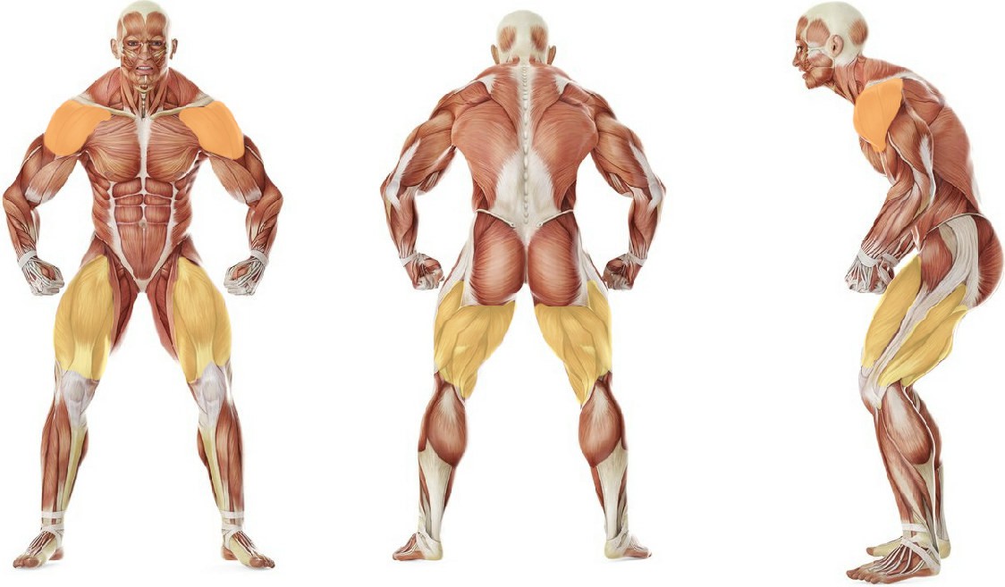 What muscles work in the exercise Two-Arm Kettlebell Jerk