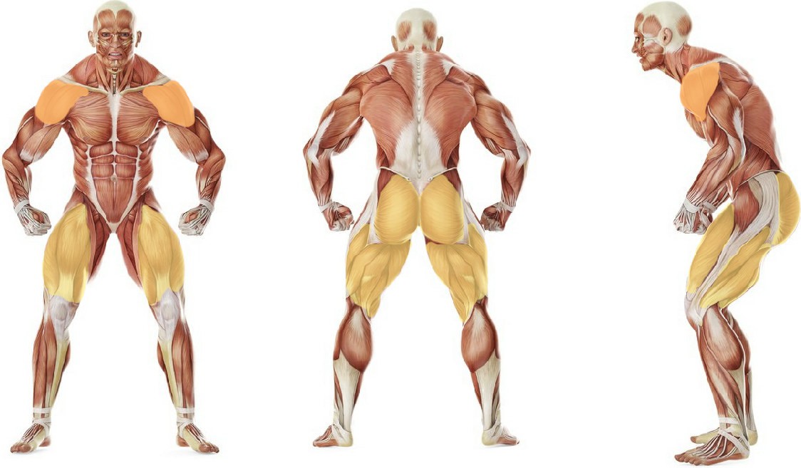 What muscles work in the exercise Jerk Balance