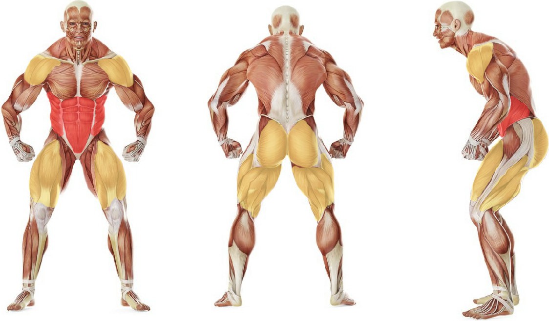 Какие мышцы работают в упражнении W - вариант восьмерок с гирей