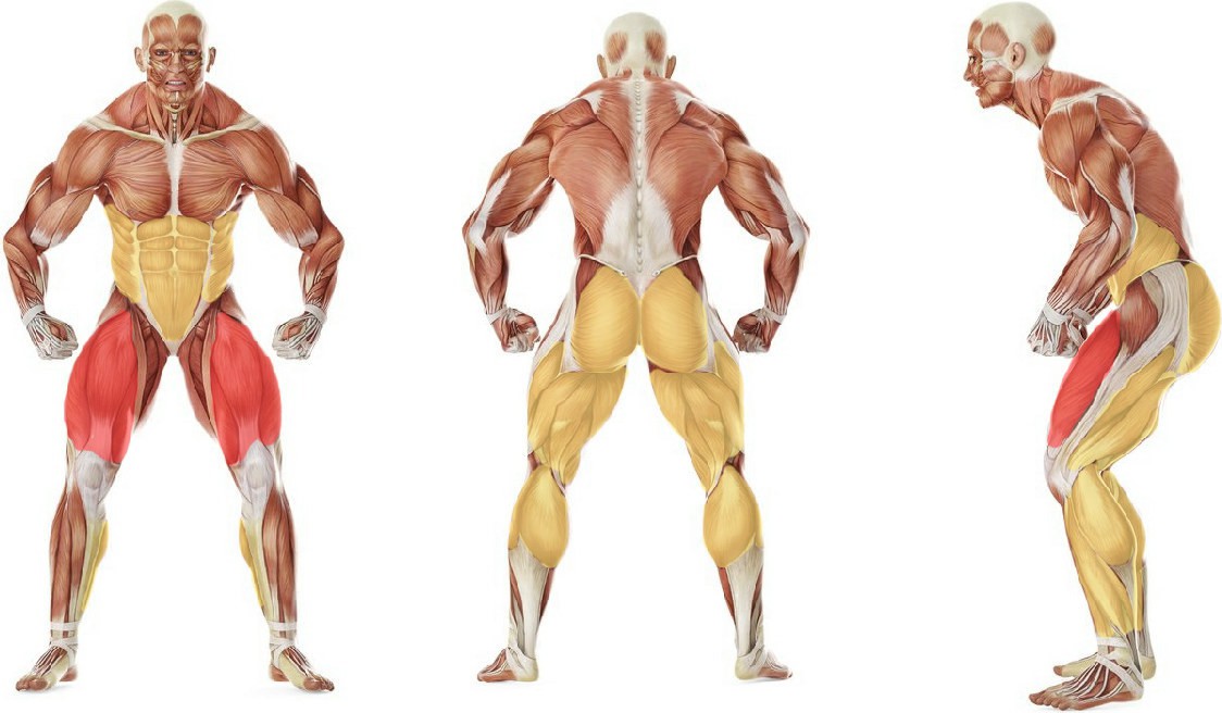 What muscles work in the exercise Plie Dumbbell Squat